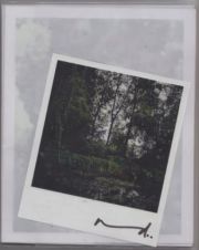The Giverny Polaroids