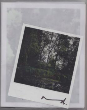 The Giverny Polaroids