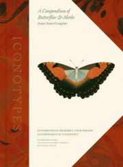 Iconotypes - A Compendium of Butterflies & Moths