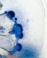 Kathrin Linkersdorff