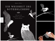 Die Weisheit des Rotkehlchens