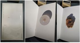 Frida Escobedo - The Book of Hours