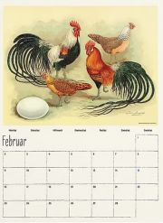 Hühner. Wandkalender für 2026