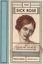 The Sick Rose