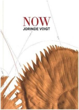 Jorinde Voigt. Now