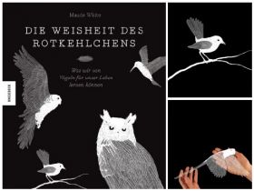 Die Weisheit des Rotkehlchens