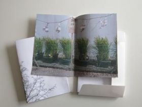 steffenschöni. hatake