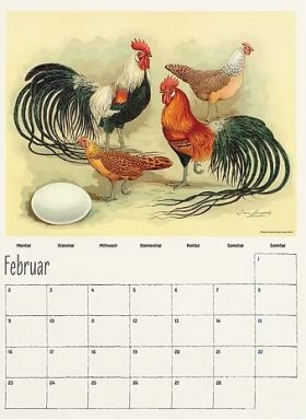 Hühner. Wandkalender für 2026