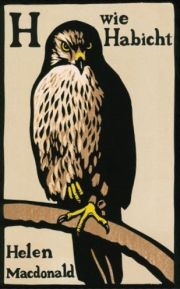 H wie Habicht