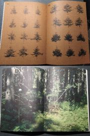 Sheung Yiu - Ground Truth