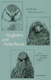 Flugbahn und Federflaum. Vom Beobachten wilder Vögel