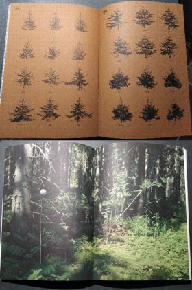 Sheung Yiu - Ground Truth