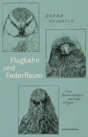 Flugbahn und Federflaum. Vom Beobachten wilder Vögel