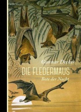 Die Fledermaus. Bote der Nacht