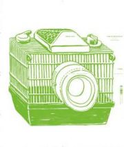 Tiere in Architektur